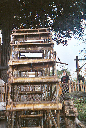 Swiss Family Robinson house