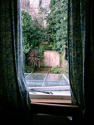 Out Snookums's window