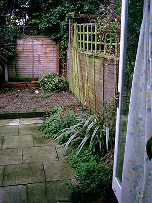 The back garden