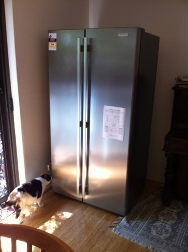 New fridge