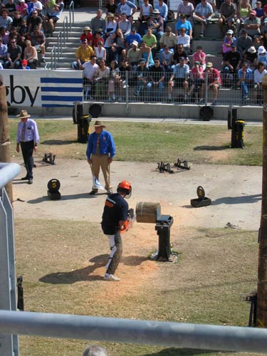 Chainsaw races