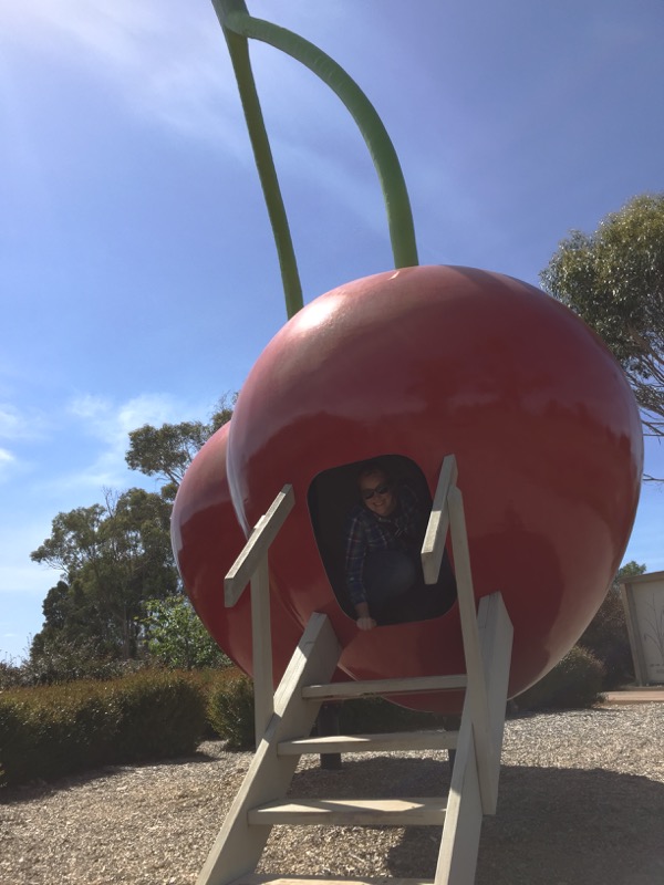 Cherry Shed