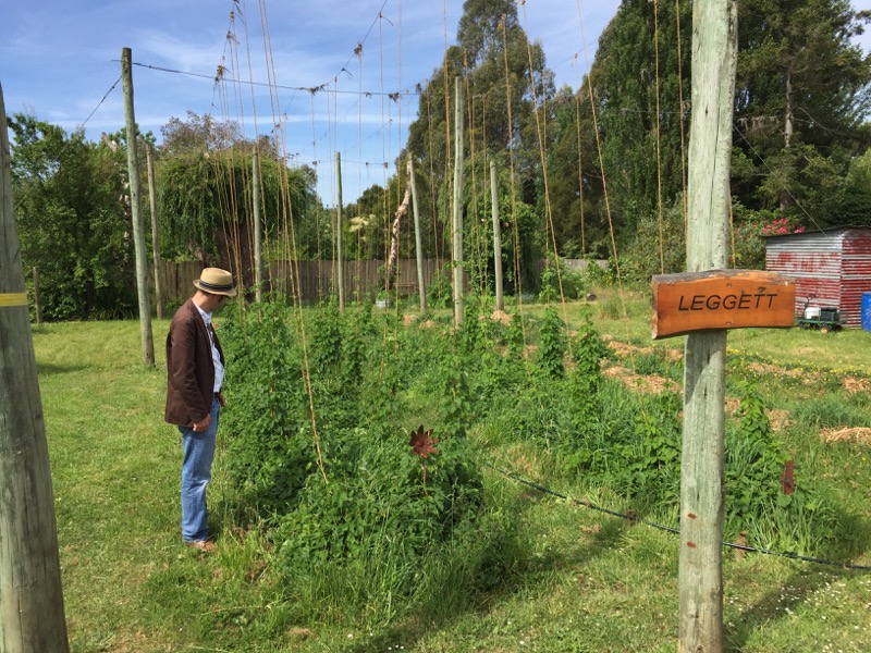 Seven Sheds Hops