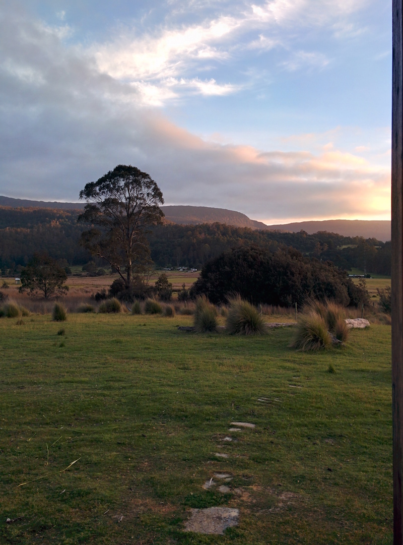 Forest Walks Lodge