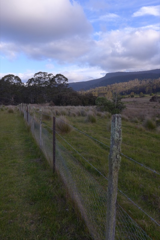 Forest Walks Lodge