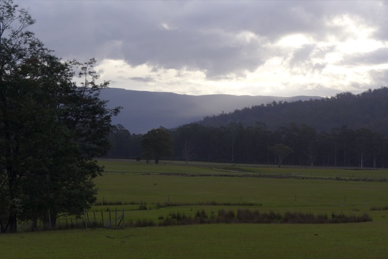 Forest Walks Lodge