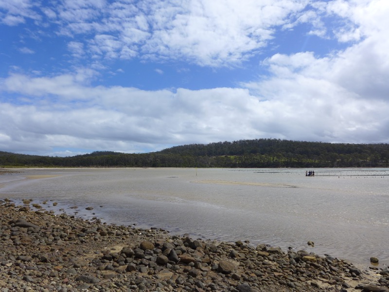 Oyster farm