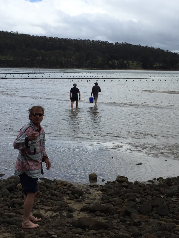 Oyster farm