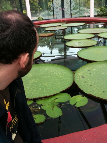 Snookums and the Amazon Water Lilies