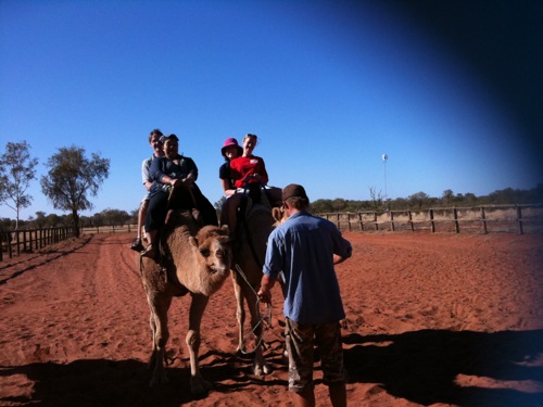 Camel Ride