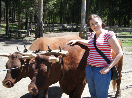 Me and a Bullock