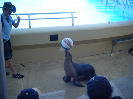 Seal with a ball