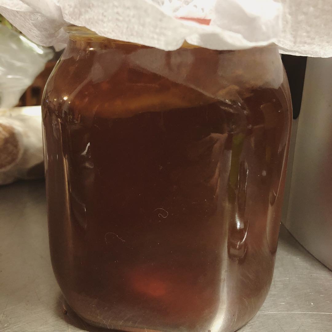 Scoby