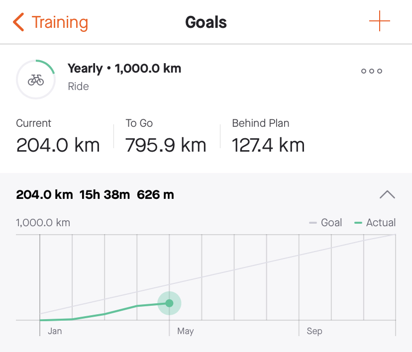 Strava goal status