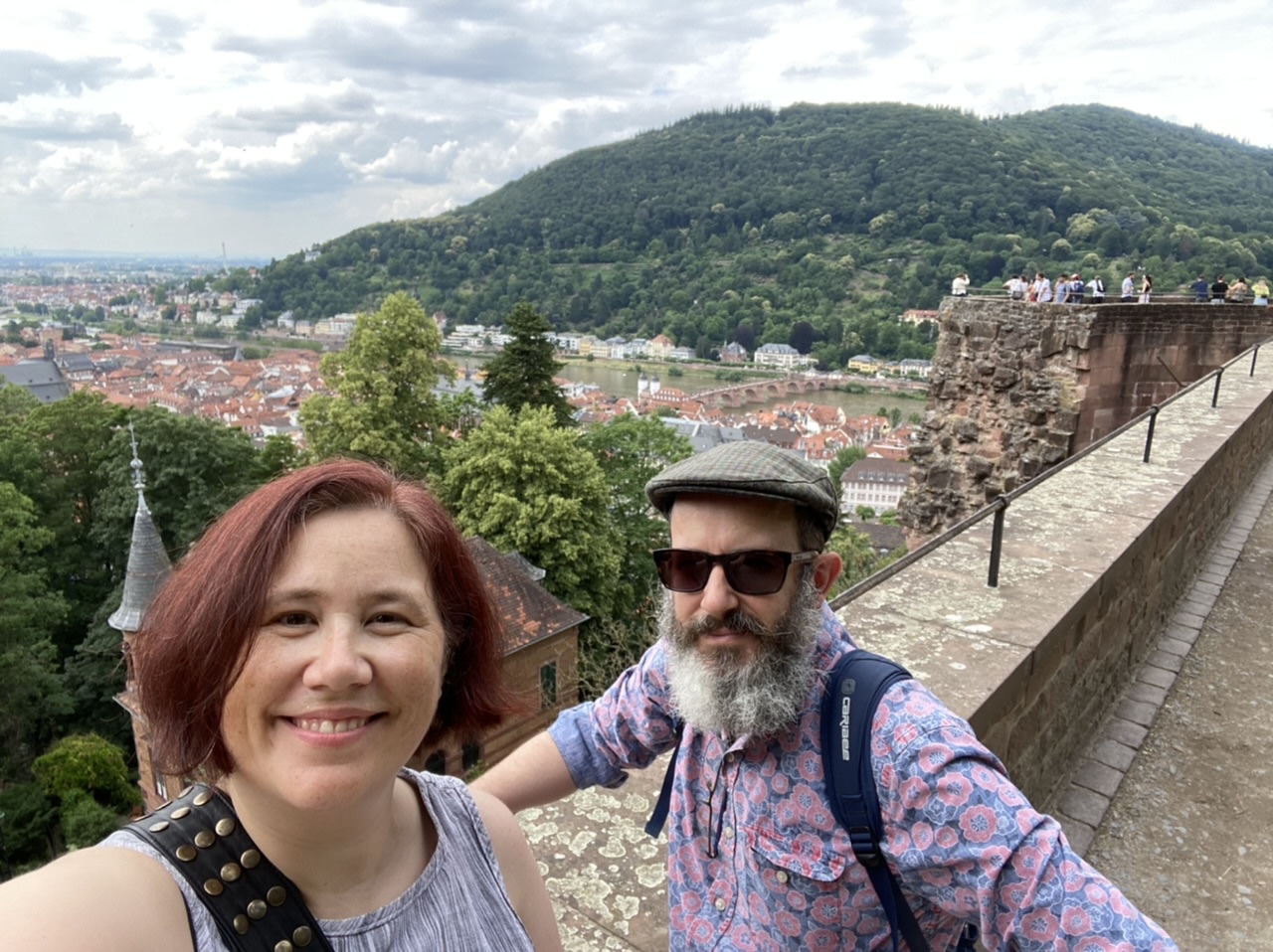 Heidelberg and the Neckar