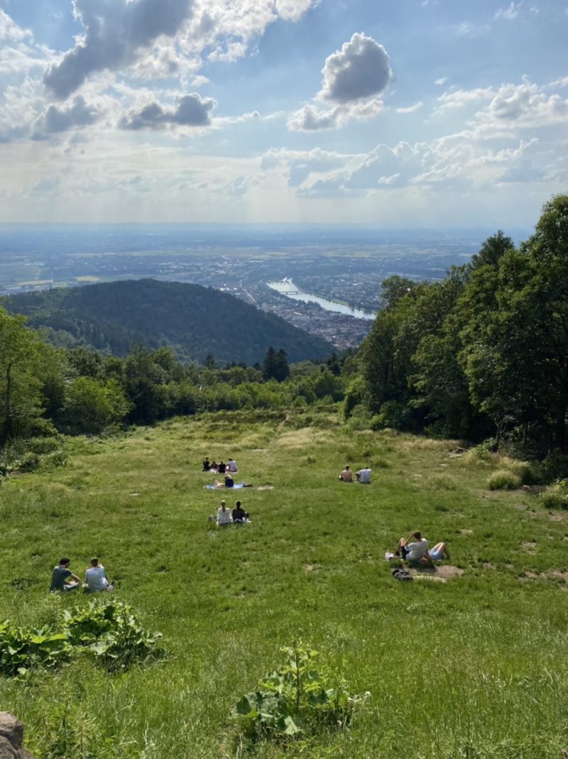 View from Königstuhl