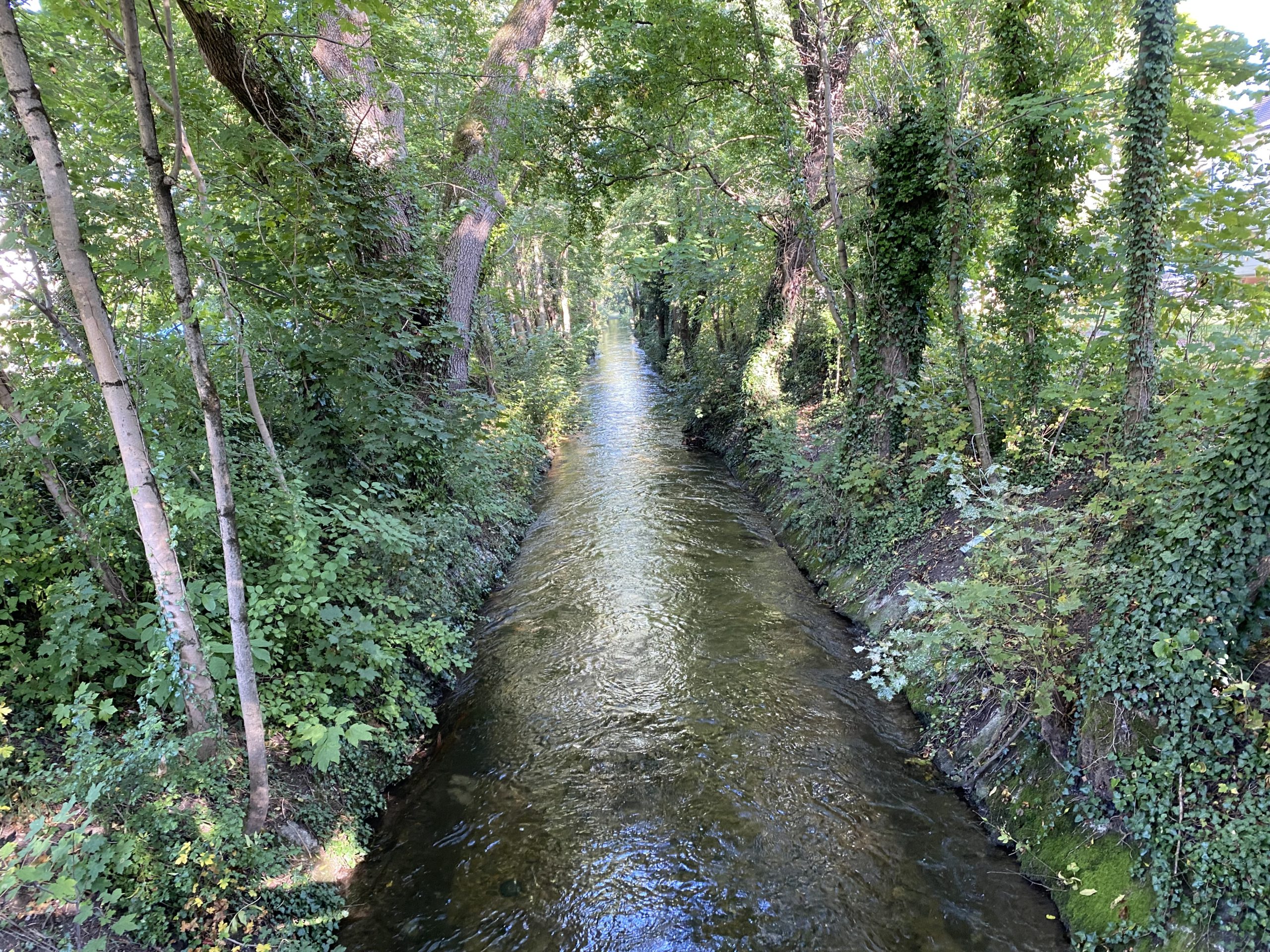 Biedersteiner Kanal