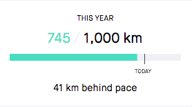 Strava Progress - 745/1000 km