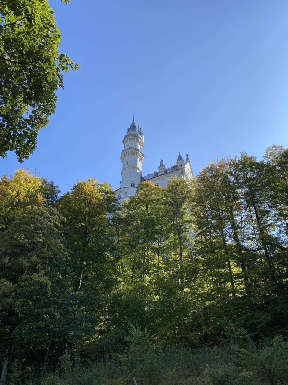 Neuschwanstein