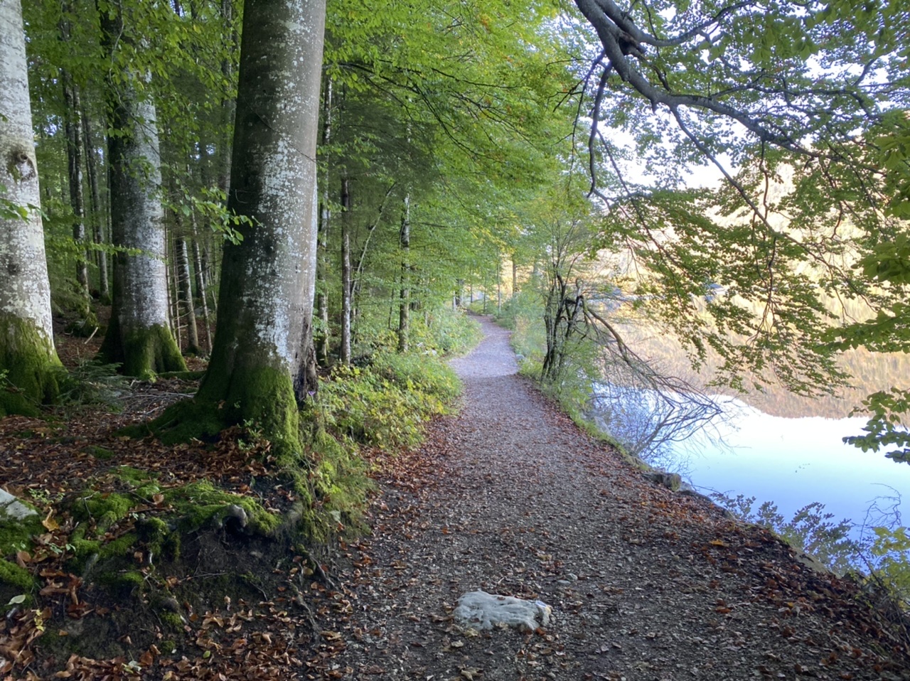 Around the Alpsee