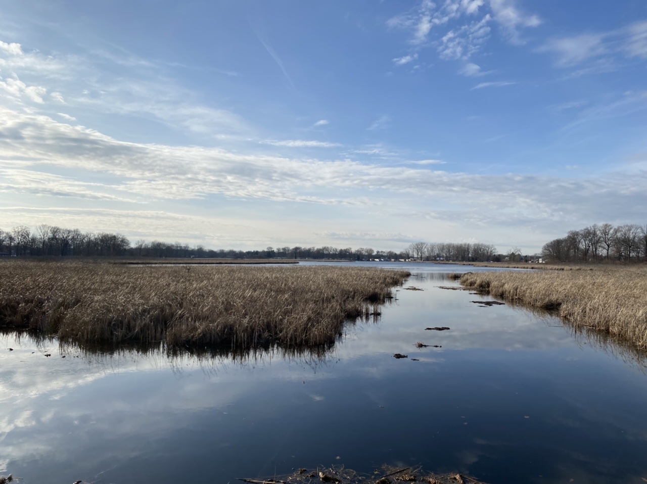 Marshy channels