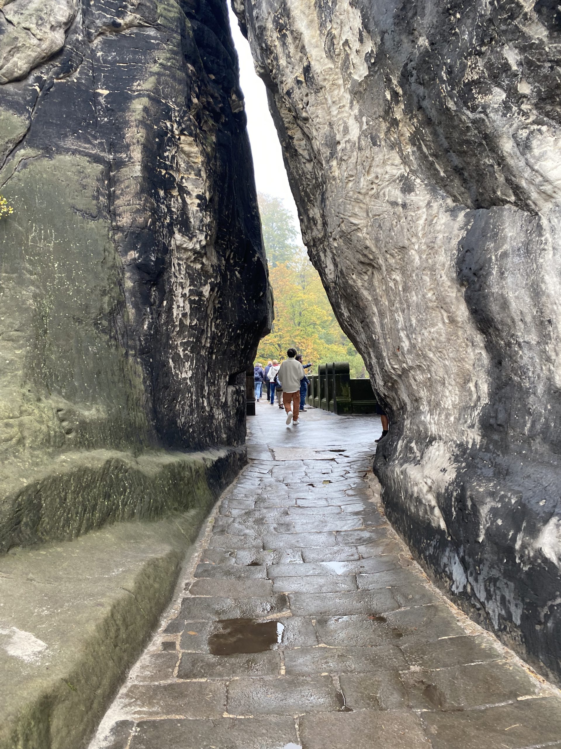 A glimpse of the Bastei Bridge