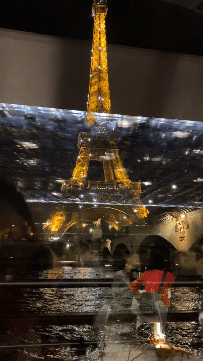Twinkling Eiffel Tower