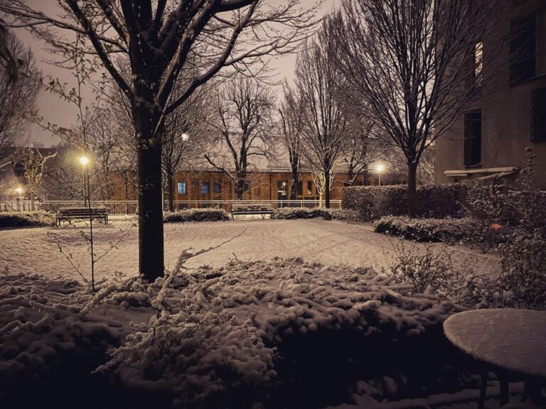 Finally feels like winter… ❄️