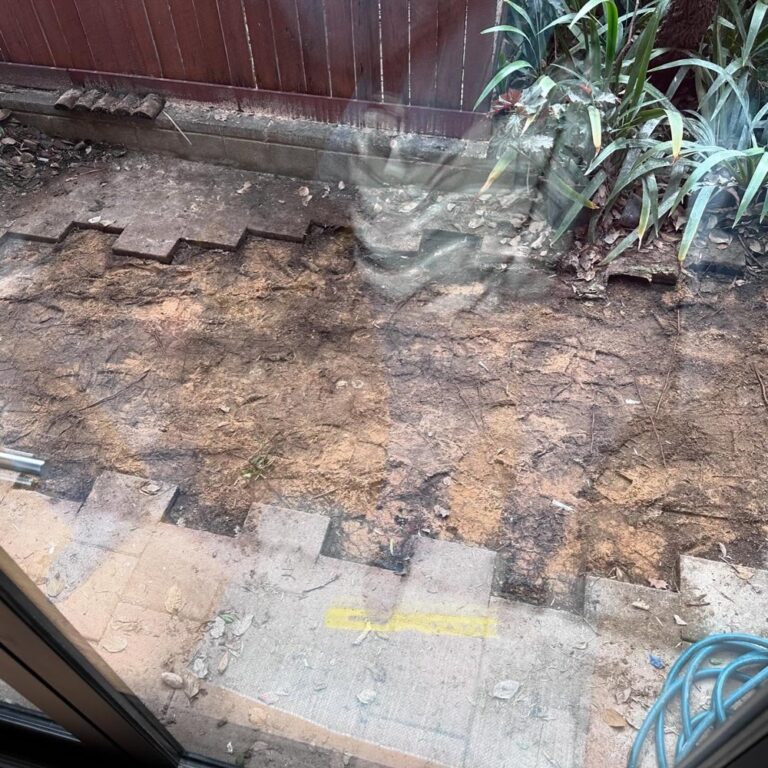 Six months after the renovation kicked off, Phase 2* (Remedial Plumbing) has begun! Our building’s aging drains need work, and as the lucky ones on the end, we get to watch as plumbers dig a massive trench right outside our walls for new pipes. Will Kristy fall into the pit? Will a massive sink hole open up and devour Chippendale? Only time will tell! 👷‍♀️🚧

* Phase 1 (Interior) is still ongoing as bits and pieces arrive. Our exterior HVAC is on hold until the plumbing remediation is done, as is Phase 3 (Landscaping).