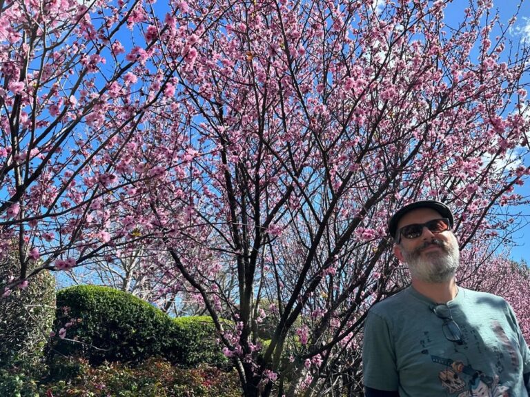 Did you know Sydney has a cherry blossom festival? We went out to the @auburnbotanicgardens today to see the blossoms, eat chicken katsu sandos from @kenchancurry.au, and watch @hellokitty sing karaoke. 🌸🎋🇯🇵🇦🇺 #cherryblossomfestival