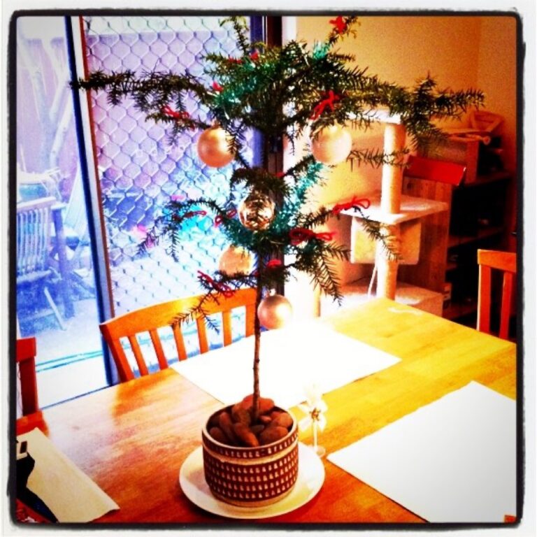 Merry Christmas! Our little Charlie Brown tree.