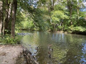 Die Sonne scheint, so we went for a bike ride along the Isar! 🚴🚴‍♀️☀️🍺 https://t.co/fuqQC8VQmV