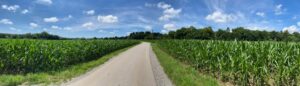 My longest ride to date! 37km/23mi through parks and forests and farmland and meadows. ❤️🚴‍♀️ Munich is so beautiful… https://t.co/i4zdtvQFAH