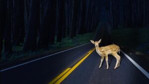 RT @HarvardBiz: What to do when an employee quits and you didn't see it coming http://t.co/WYa3PfvpvK http://t.co/HS95VaHZr8