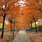 The beautiful orange leaves are all gone, in less than a week. I forget what it’s like to see the seasons change. 🍁 @ Theresienhöhe