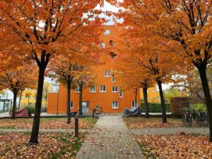 The beautiful orange leaves are all gone, in less than a week. I forget what it’s like to see the seasons change. 🍁 @ Theresienhöhe