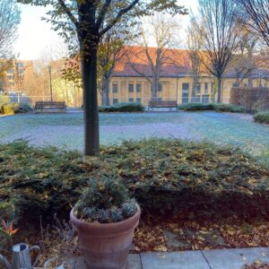 Woke up to the first frost of the season! 😮❄️