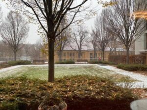 First snow of the year in Munich! ❤️❄️