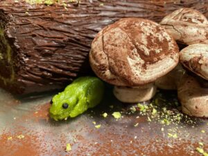 When I requested a special Christmas cake, I never envisioned this. This... is amazing. Rodd Snook is a wizard. I’m incredibly lucky. 🪵🍰🍄🐸