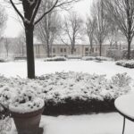 Woke up to a winter wonderland! ❄️❤️