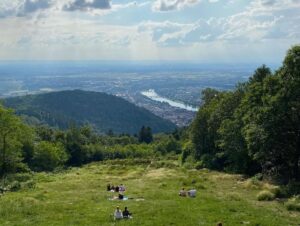 After exploring the castle, we took the old funicular up to the Königstuhl, the highest point in Heidelberg. The view was breathtaking. Then we did a short hike before eventually heading back to the Altstadt for dinner at Vetter’s Alt Brauhaus… 🌳🍻