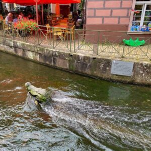 Freiburg ist schön!