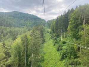 We took Germany’s longest cable car (over 2 miles!) through the Black Forest to the top of Schauinsland… ❤️🚠🌲