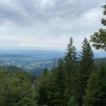 We took Germany’s longest cable car (over 2 miles!) through the Black Forest to the top of Schauinsland… ❤️🚠🌲