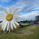 Spent the morning wandering around Turku, Finland’s oldest city and former capital…