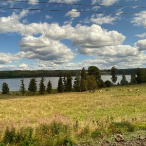 Lovely smooth, fast train ride through Sweden today to Stockholm! 🇸🇪🚅