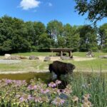 Finally checking out the Munich Zoo on a beautiful day. No feeding the animals… pretzels. 😂 And of course we paid the other Aussie expats a visit… 🦘🐘🦬🦩🦒🦍