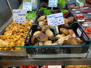 Today we’re doing a guided food tour of Modena! After a brekkie of cappuccino and gnocco fritto, we headed into the covered market…