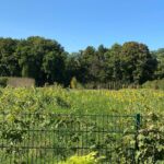 Halfway through a long ride in the Englischer Garten on a beautiful Autumn day… ❤️🚴‍♀️🍁🌻