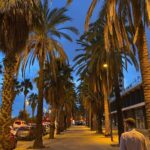 Hola Barcelona! What a lovely night. Palm trees, good Catalan wine, so much beautiful seafood, and the best steak we’ve had in a year!🍷🦐🦞🥩